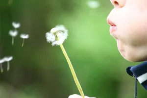 Scurtarea respirației cu bronșită într-un medicament copil pentru scurtarea severă a respirației după ce boala (scurtarea respirației după bronșită) Scurtarea respirației cu bronșită într-un medicament pentru copil dispnee severă după boală