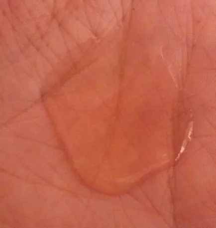 Un sampon gudron foarte bun Neva Cosmetice - despre cosmetice comentarii