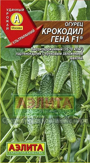 Castravetele gena crocodil f1 - Ambalare de legume seminte en-gros, companie agricola Aelita (Aelita) gena crocodil f1 Castravete - Ambalare de semințe de legume en-gros, companie agricolă Aelita