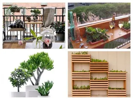 A face recomandări balcon în aer liber și fotoidei (balcon) A face recomandări la balcon în aer liber și fotoidei