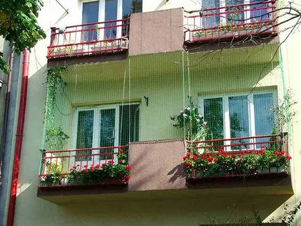 Windows și balcoane în condiții de siguranță pentru pisici