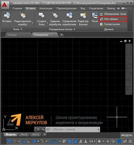 Ole obiecte AutoCAD