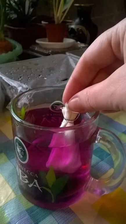gena crocodil - - Cucumber f (Aelita)