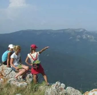 Odihnește-sălbatică de pe coasta Mării Negre, ca de vacanță nu se transformă într-un chin