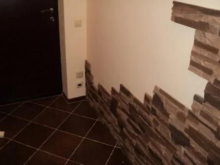 Finisare hol piatră - 80 fotografii de idei noi de la designeri