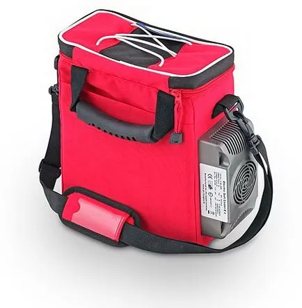 Mai ales alegerea bag-frigider (selecție) Mai ales alegerea bag-frigider