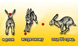 Iepurele de vânătoare pe chernotropu
