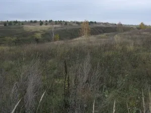 Iepurele de vânătoare pe chernotropu