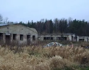 Iepurele de vânătoare pe chernotropu