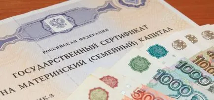 Responsabil pentru incasare schema de capital de maternitate, articol, condițiile