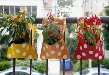 Legume pe balcon care planta este posibil să crească culturi (balcon) Legumele pe balconul ce să planteze dacă puteți dezvolta culturi