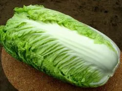 varză chinezească - cultivare și întreținere (varză) varză chinezească - cultivarea și îngrijirea