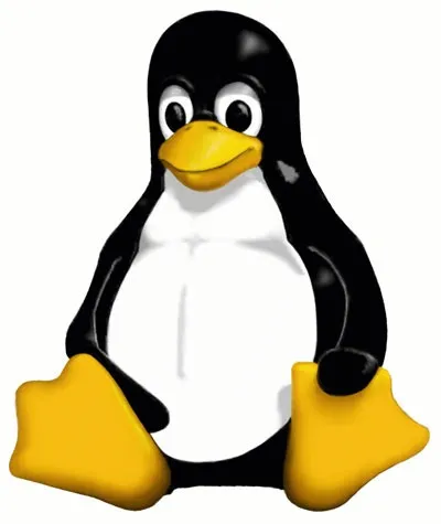 Pinguinii - păsări neobișnuite