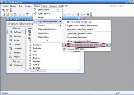 Se transferă baza de date de la accesul ms la server sql ms