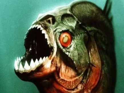 Piranha - cel mai de pești răpitori