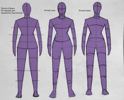 Perspectiva și înălțimea la desenarea figurii umane - grafica pe calculator și de animație