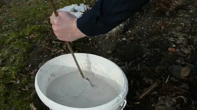 primăvară lapte de var structura copac lapte de var