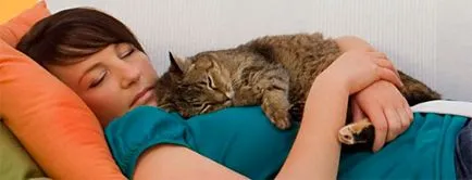 De ce pisica se află pe Ghiciri persoane, semne, secrete (minciuni) De ce pisica se află pe Ghiciri persoana, semne, secrete