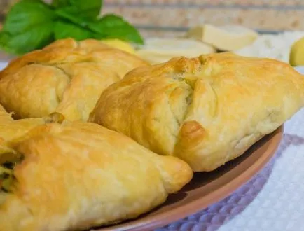 Prăjiturile și chifle cu rețete de pui cu fotografii, umplutura cu brânză, cartofi, ficat, carne, din (pasties) Prăjiturile și chifle cu rețete de pui cu fotografii, umplutura cu brânză, cartofi, ficat, carne, de