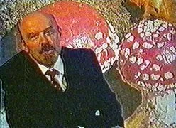 De ce Putin - crab, Medvedev - albine și Lenin