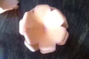 Articole din hartie - flori