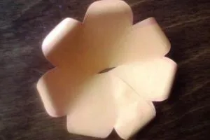 Articole din hartie - flori
