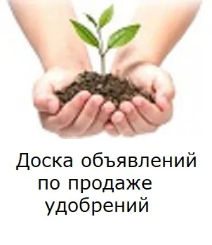 Fertilizarea in prune primavara ce si cum instrucțiunile de spălare