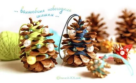 Artizanat din conuri cu mâinile lor, de casă și de DIY (conuri cu mâinile lor) Artizanat din conuri cu mâinile lor, și de cele mai multe casă DIY