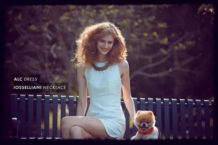 Pomeranian Boo - cel mai popular câine Facebook