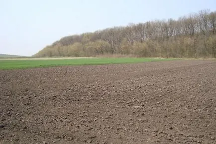 Cumpărarea și vânzarea de acțiuni de teren