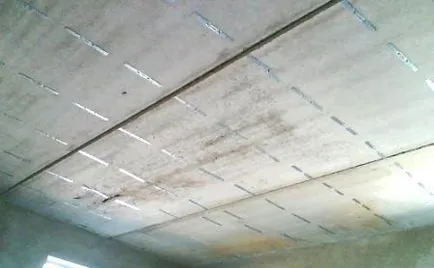 Plafonul de gips carton rezistent la umiditate în baie cu mâinile fotografia lui