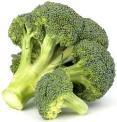 nutriție adecvată pentru alergii
