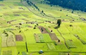 Dreptul de a închiria atribuirea terenului sau cesiunea, se transferă dreptul de a închiria, vinde, gaj, (dreapta) Dreptul de a închiria atribuirea terenului sau cesiunea, se transferă dreptul de a închiria, vinde, gaj,