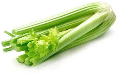 nutriție adecvată pentru alergii