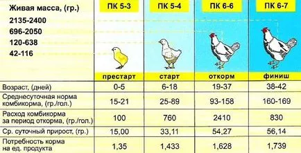 Condiții de pui de carne de alimentare la domiciliu