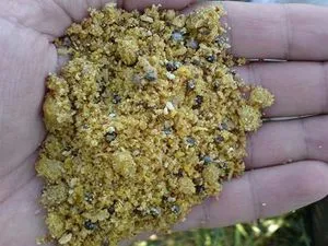 Momeală pentru componente de bază de crap, dovedite și rețete rapide cu propriile sale mâini
