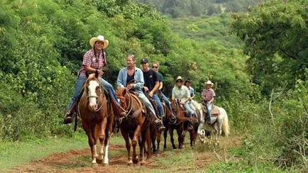 Articolele ride