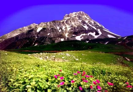 natura Grecia