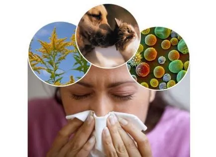 Cauzele alergiilor, varietatea si de ce apare, (cauze) Cauzele alergiilor, este un fel de este si de ce apare