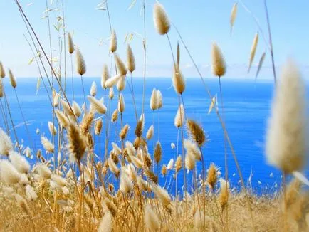 natura Grecia