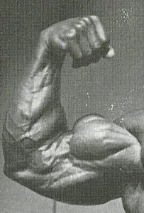 Lucrăm la biceps de relief