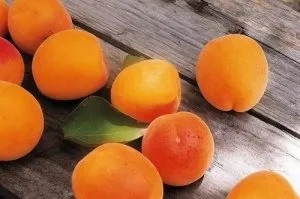 Sfaturi pentru Dovedit de caise plantare de primăvară (plantare de caise și de îngrijire) Sfaturi pentru Dovedit de caise plantare de primăvară