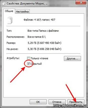 Lipsește fișierele și folderele de pe unitatea USB (director) Lipsește fișierele și folderele de pe unitatea USB
