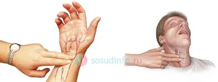 Puls (ritmul cardiac), în norma de adult, copil, de înaltă și joasă