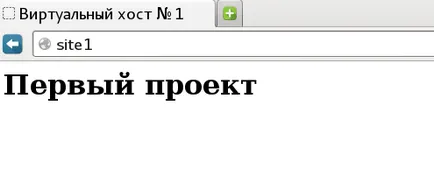 Noi lucrăm cu gazde virtuale