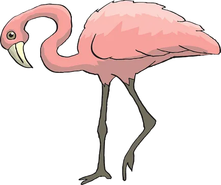 Bird în limba engleză - nume Bird în limba engleză cu traducere (titluri) Bird în limba engleză - nume Bird în limba engleză cu traducere