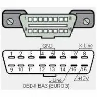 Conectorul de diagnosticare pin