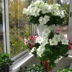 Repararea balcoane cu mâinile lor de la început până la sfârșit