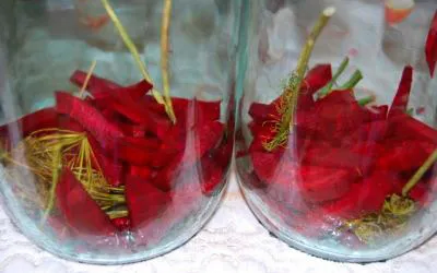 tomate Rețetă Yum conserve
