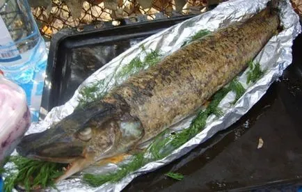 Rețete pike folie în cuptor, secretele ingredientelor de alegere și (cuptor) Rețete pike în cuptor în folie, ingrediente secrete și alegere